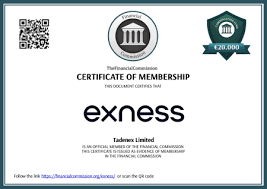Understanding Exness Live Spread What Traders Need to Know